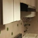 Rent 4 bedroom apartment of 112 m² in Cremona