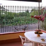 Rent 2 bedroom apartment of 60 m² in Santa Maria del Cedro