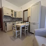 Rent 2 bedroom apartment of 40 m² in Roma