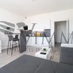 Rent 1 bedroom apartment of 35 m² in České Budějovice