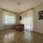 Rent 1 bedroom apartment of 20 m² in Bra