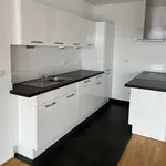 Rent 4 bedroom apartment of 167 m² in Dresden