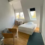 Rent 2 bedroom apartment of 71 m² in berlin