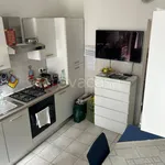 Rent 1 bedroom apartment of 45 m² in Pavia