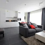 Rent 1 bedroom apartment in Brussels