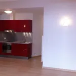 Rent 2 bedroom apartment of 55 m² in Toulouse