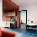 Rent 1 bedroom apartment in milan