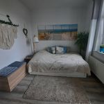 Miete 1 Schlafzimmer wohnung von 45 m² in Chemnitz