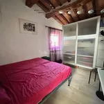 Rent 2 bedroom apartment of 28 m² in Siena