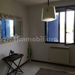 Rent 1 bedroom apartment of 35 m² in Pisa