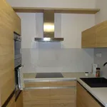 Rent 2 bedroom apartment of 55 m² in Brno