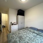 Rent 2 bedroom apartment of 37 m² in Schildersbuurt