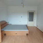 Rent 1 bedroom apartment in Příbram