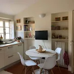 Rent 3 bedroom apartment of 140 m² in Lucca