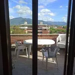 Rent 3 bedroom apartment of 85 m² in Pisa