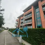 Rent 3 bedroom apartment of 65 m² in Pinerolo