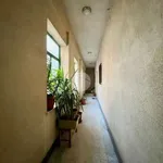 Rent 3 bedroom apartment of 90 m² in Palermo