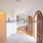 Rent 2 bedroom house of 76 m² in Perugia