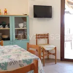 Rent 2 bedroom apartment of 50 m² in Arzachena