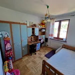 Rent 5 bedroom house of 180 m² in Rzeszów