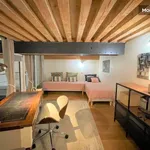 Rent 3 bedroom apartment of 106 m² in Lyon