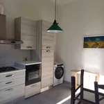 Rent 3 bedroom apartment of 66 m² in Pisa