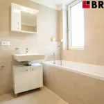 Rent 2 bedroom apartment of 58 m² in Brno