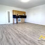 Rent 3 bedroom apartment of 84 m² in Smiřice