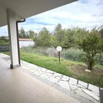 Rent 8 bedroom house of 228 m² in Alessandria