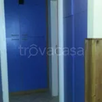 Rent 1 bedroom apartment of 25 m² in Carpi