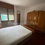 Rent 3 bedroom apartment of 100 m² in Rovigo