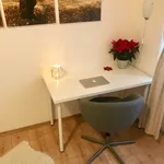 Rent 1 bedroom apartment of 32 m² in Prague