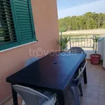 Rent 3 bedroom house of 90 m² in Campomarino