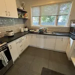 Rent 4 bedroom house in Palmerston North