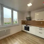 Rent 1 bedroom apartment of 37 m² in Ostrava