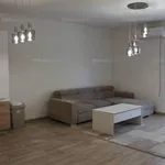 Rent 1 bedroom apartment of 70 m² in Szolnok