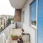 Rent a room in Roma