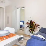 Rent 1 bedroom apartment in milan