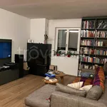 Rent 6 bedroom apartment of 125 m² in Bolzano