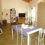 Rent 2 bedroom apartment of 75 m² in castrocaro terme e terra del sole