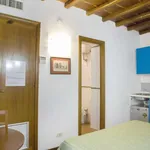 Rent 1 bedroom apartment of 25 m² in rome