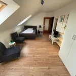 Rent 1 bedroom apartment of 36 m² in Mannheim