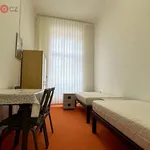 Pronajměte si 1 ložnic/e byt o rozloze 90 m² v Brno