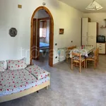 Rent 3 bedroom apartment of 65 m² in Sabaudia