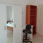 Rent a room in bologna