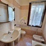 Rent 3 bedroom apartment of 100 m² in Cremona