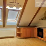 Rent 4 bedroom apartment of 189 m² in Capital City of Prague