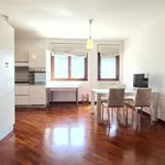 Rent 3 bedroom apartment of 90 m² in Roma