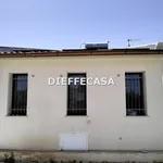 Rent 2 bedroom house of 50 m² in Marsala