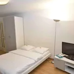 Rent 1 bedroom apartment of 30 m² in Zürich